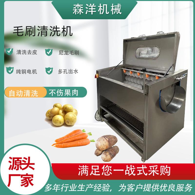 厂家直供商用地瓜马铃薯清洗去皮设备不锈钢毛刷土豆清洗去皮机