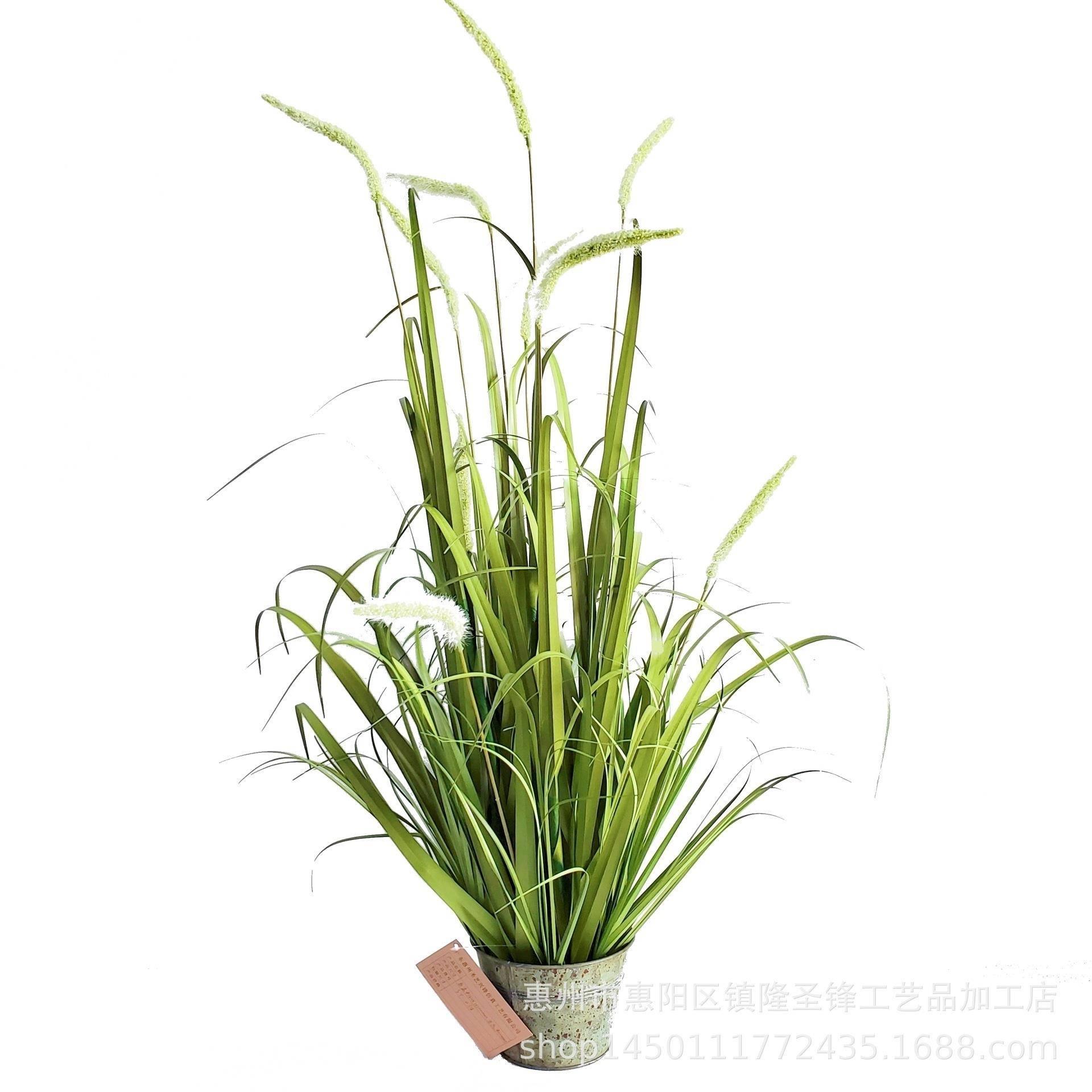 仿真狗尾巴草芦苇草绿植盆载仿真洋葱草北欧仿真植物家居装饰摆件