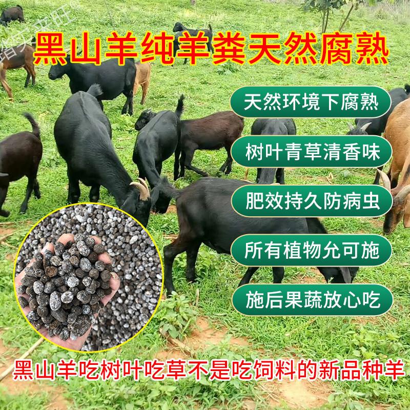 云南黑山羊纯羊粪发酵腐熟干羊粪兰花蔬菜花卉有机肥料羊粪颗粒蛋