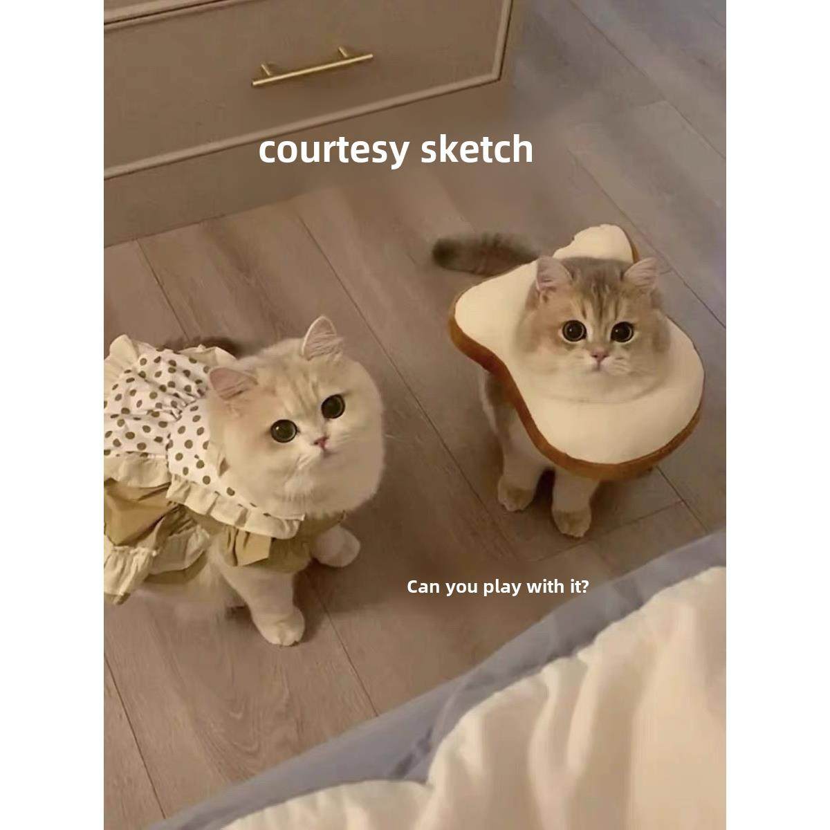 猫颈巾，伊莉莎白领，防舔隔离套，羞耻感套，术后保护小猫颈枕,宠物/宠物食品及用品,宠物伊丽莎白圈,淘宝优惠券,粉丝福利购,淘宝优惠卷