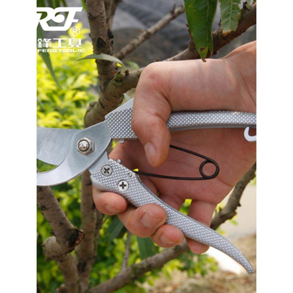 德国进口精锐锋 园艺剪刀花枝剪树枝修枝剪刀果树剪粗枝剪园林工