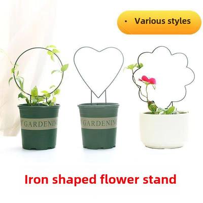 室内爱心形植物攀藤山乌龟甲龙铁线莲花架爬藤小支架子支撑杆铁艺