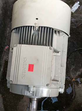 18.5kw4电机，1LA7166-2AA60，轴径4议价