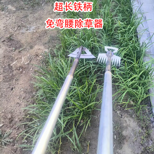 锄头种菜家用除草工具神器锄草全钢专用园艺赶海种地挖蛏铲小耙子