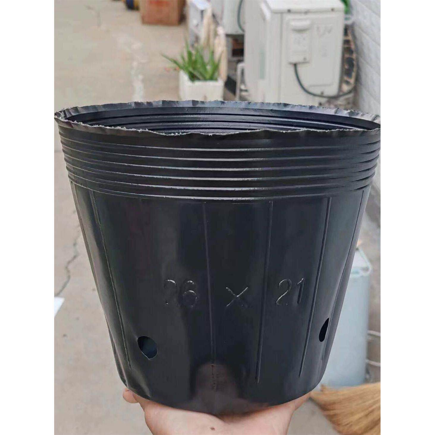 加厚营养碗苗杯苗袋一次性塑料厂家直销蔬菜杯黑色营养杯苗锅