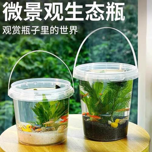 生态瓶自循环桌面塑料微景观免打理换水diy材料小鱼缸科学作业