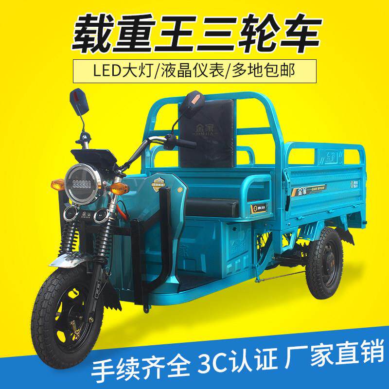 电动三轮车加厚拉货山区家用载重王新国标爬坡货车摆摊农用电动车