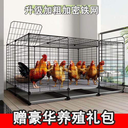 鸡笼养殖笼家用室内农村室外大号养鸡专用笼自动清粪鸡舍鸭鹅笼子