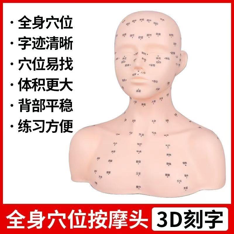 皮肤管理头模学美容假人头头部模型美容模特头脸部按摩光头带肩膀