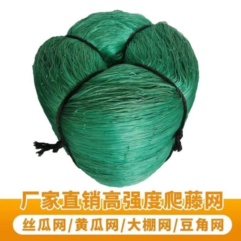 葡萄架爬藤网罗汉果百香果搭架专用网苦瓜丝瓜植物攀爬藤蔓网豆角