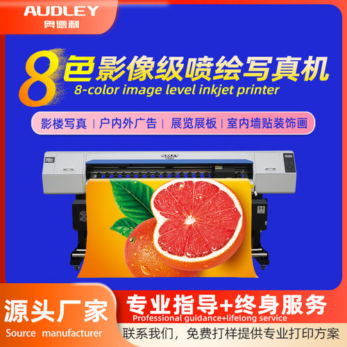 奥德利双头户内户外写真机门店专用机型车贴壁纸打印写真重型机架