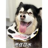 可爱卡通动物园系列金毛萨摩耶大狗围嘴