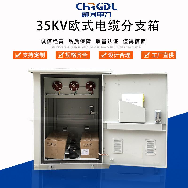 厂家供应整套设备不锈钢绝缘电力分接箱35KV欧式高压电缆分支箱
