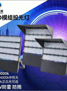 世琳照明240-480W杆灯IP65户外广场球场灯道路照明装置防雷220V