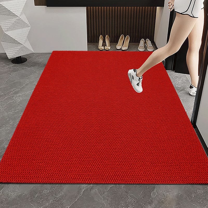 家用地毯门垫进门高端室外免洗蹭土脚垫子客厅门内外入户门口地垫