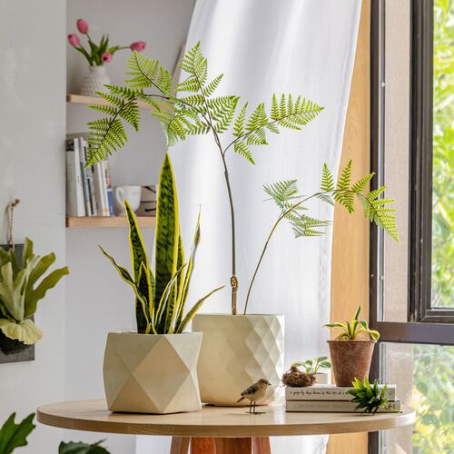 简约轻奢菱形镁泥花盆高级感大号绿植龟背K竹阳台室内客厅装饰盆