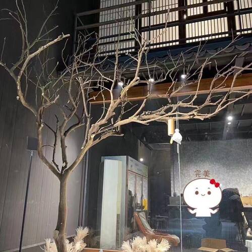 枯树造型树天然实木干树枝装饰猫咖啡店橱窗庭院布景大型落地假树
