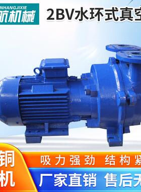 2BV水环式真空泵工业不锈钢真空泵防爆电机液环真空泵淄博厂家