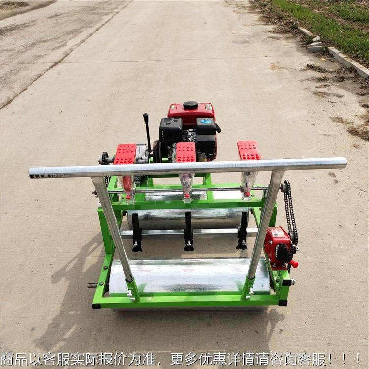 茼小DHB香芹蔬菜播种机 蒿子大葱谷精播机 油菜头大菜播种机,农机/农具/农膜,耕种机械/微耕机/开沟机,淘宝优惠券,粉丝福利购,淘宝优惠卷