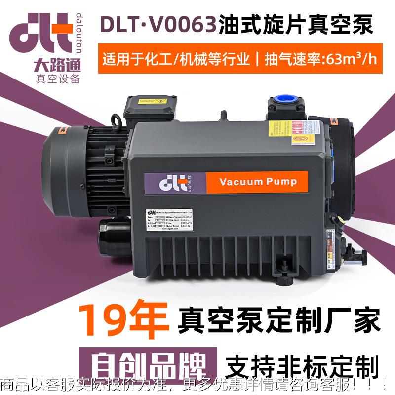罗茨真空泵DLT·V0063真空泵工业用油式旋片真空泵铸铝机械真空泵