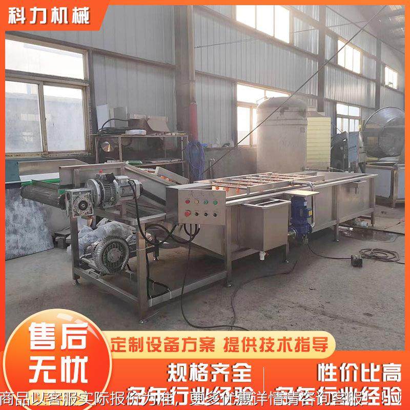 自动气泡清菜洗机自动洗果机蔬洗洗菜机  果ZKV蔬气泡清机,清洗/食品/商业设备,果蔬加工设备,淘宝优惠券,粉丝福利购,淘宝优惠卷