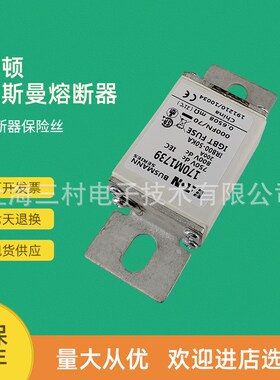 全新原装快速熔断器保险丝170M1730 170M1731 170M1732 170M1733