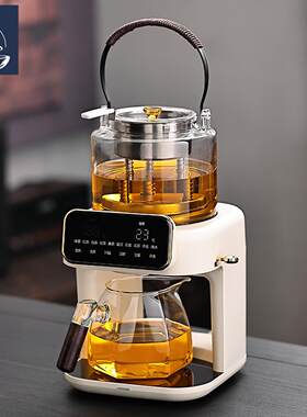 HCNTES蒸汽萃茶机煮茶壶2026新款家用多功能全自动高级纯钛煮茶器