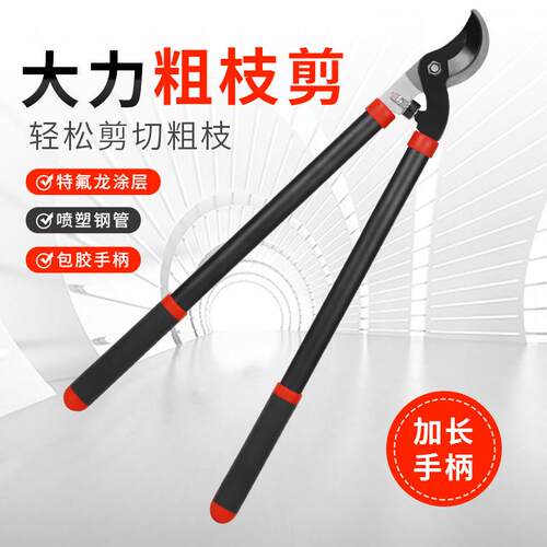 长柄修枝剪树枝剪刀园艺大剪果树修枝修剪树枝园林剪刀强力粗枝剪