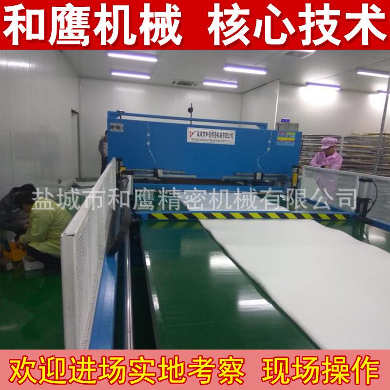 液压裁断机双边皮带裁断机厂家供应全自动机械手臂液压裁断机