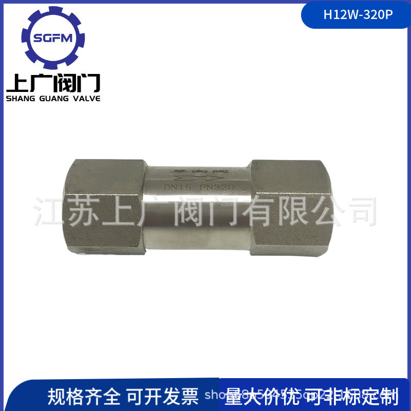 H12W-320P高压止回阀单向阀2205订置