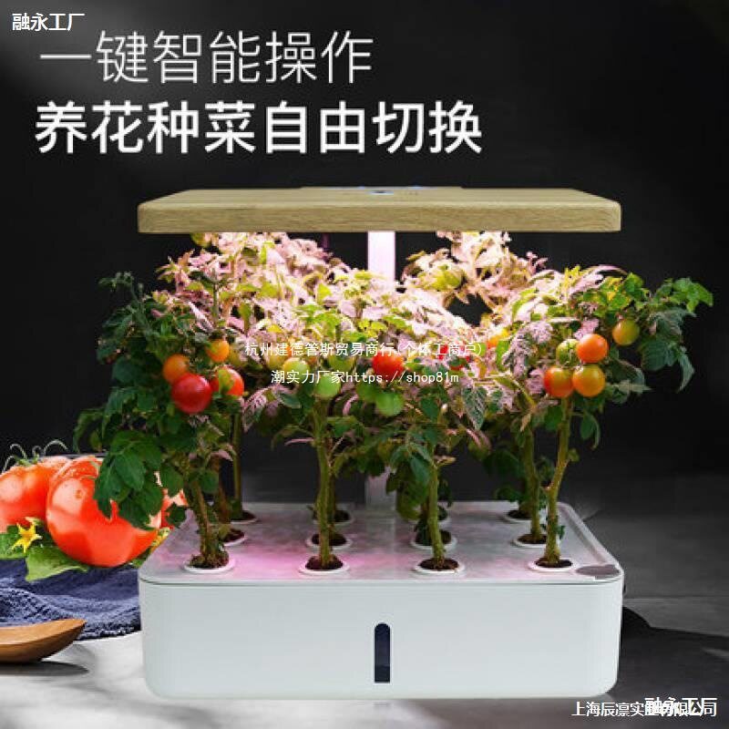 家庭智能蔬菜种植机室内无土栽培成套设备水培草莓种植箱树脂花盆