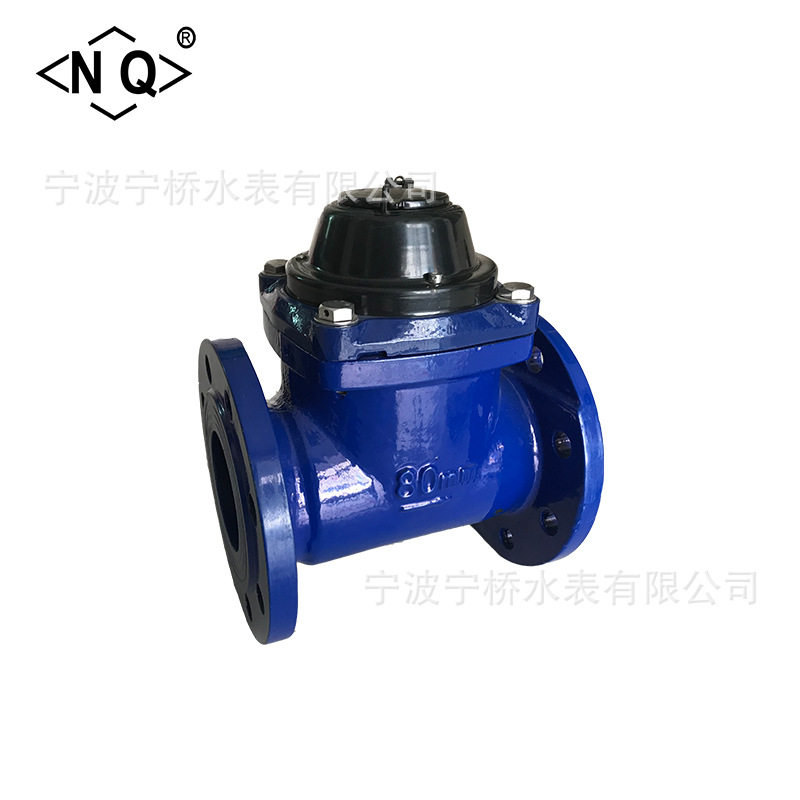 宁波宁桥水表厂家供应农业灌溉排污水水表LXLN-65/干式出口