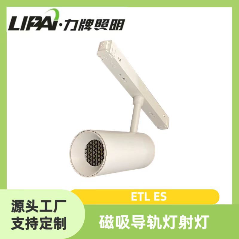 LED磁吸灯导轨灯 2.4G涂鸦蓝牙智能 12W 48V 55° 2700-6000K跨境