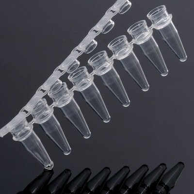 巴罗克0.1ml  8联排 qPCR 管 聚丙烯 无酶 非灭菌 透明 60-1088