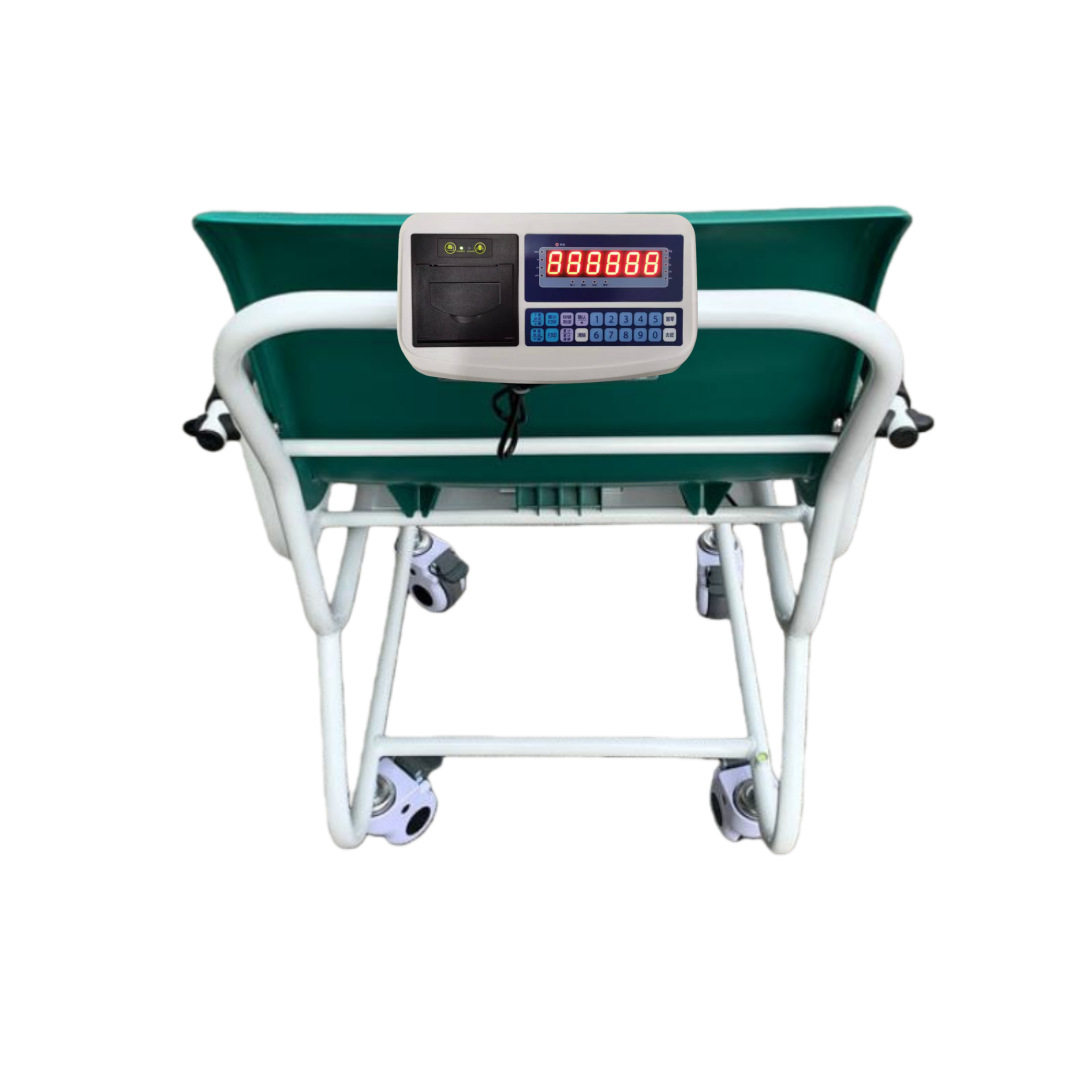 老人院手推坐式体重秤300/200kg