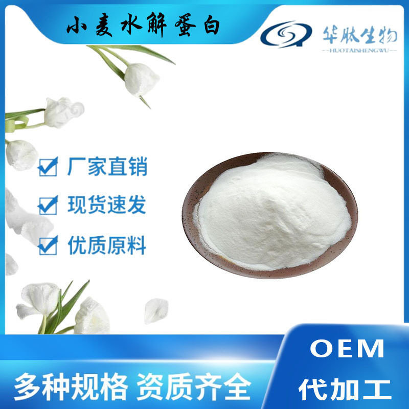 水解小麦蛋白 80% 改性酶谷蛋白 70084-87-6 原料华肽供应 可寄样