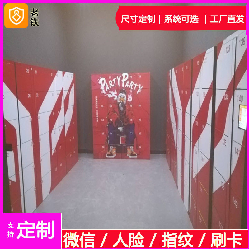 淮安智能自编密码寄存柜/存包柜/储物柜/室内商场超市双系统设计