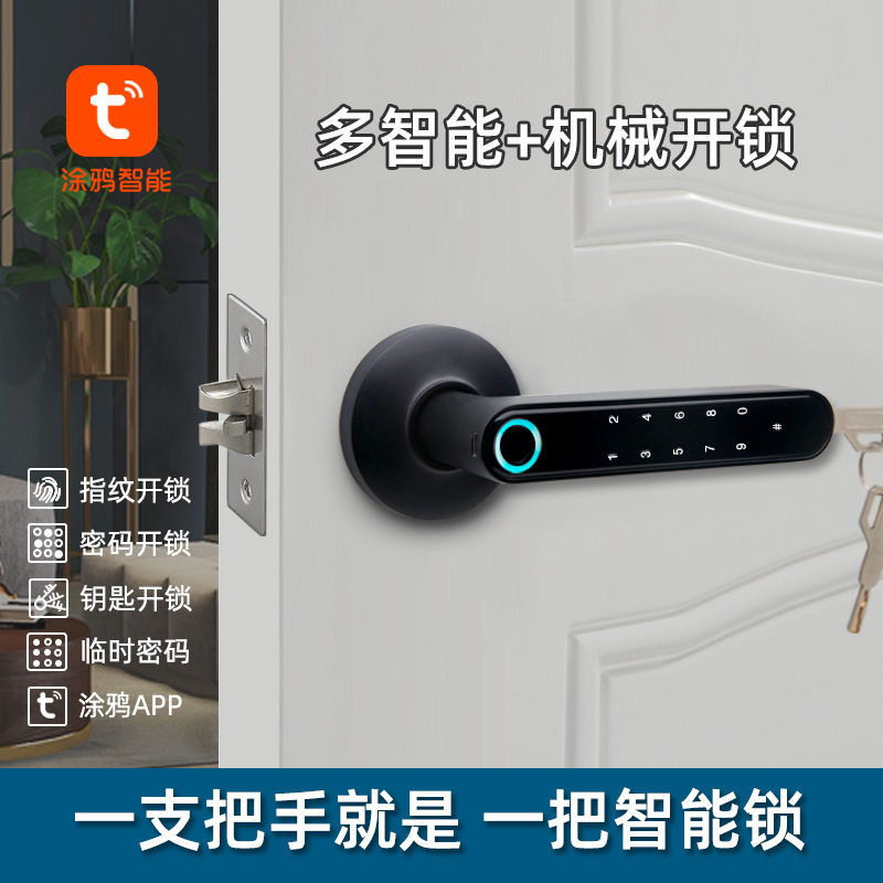 家用电子指纹密码锁单舌球形木门锁涂鸦tuya智能外贸c级防盗门