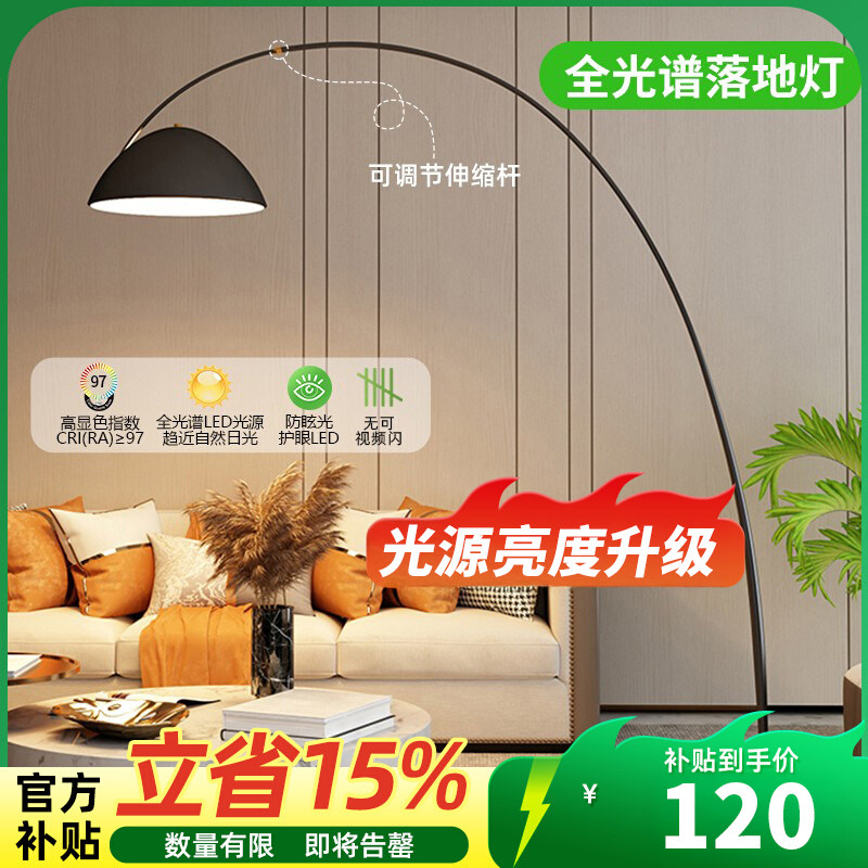 钓鱼灯落地灯客厅沙发旁高级设计感氛围灯卧室智能立式台灯阅读灯