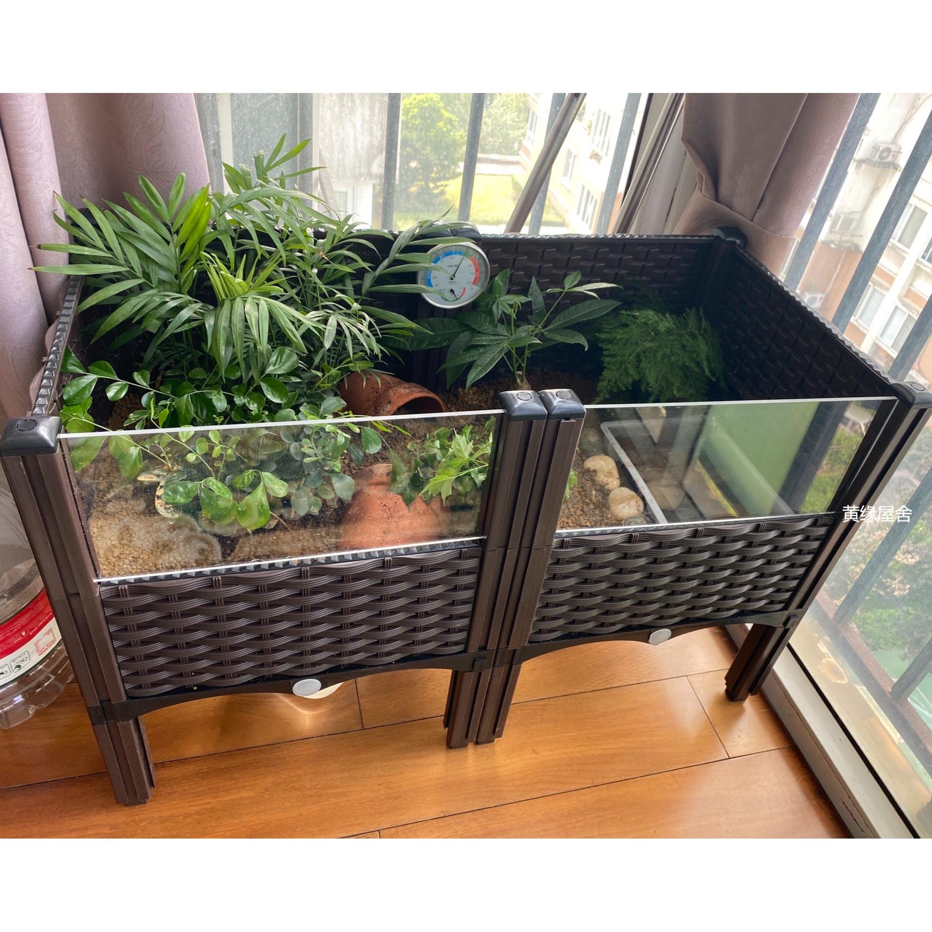 黄缘龟专用饲养箱陆龟半水龟缸生态造景箱 安缘台缘养殖箱