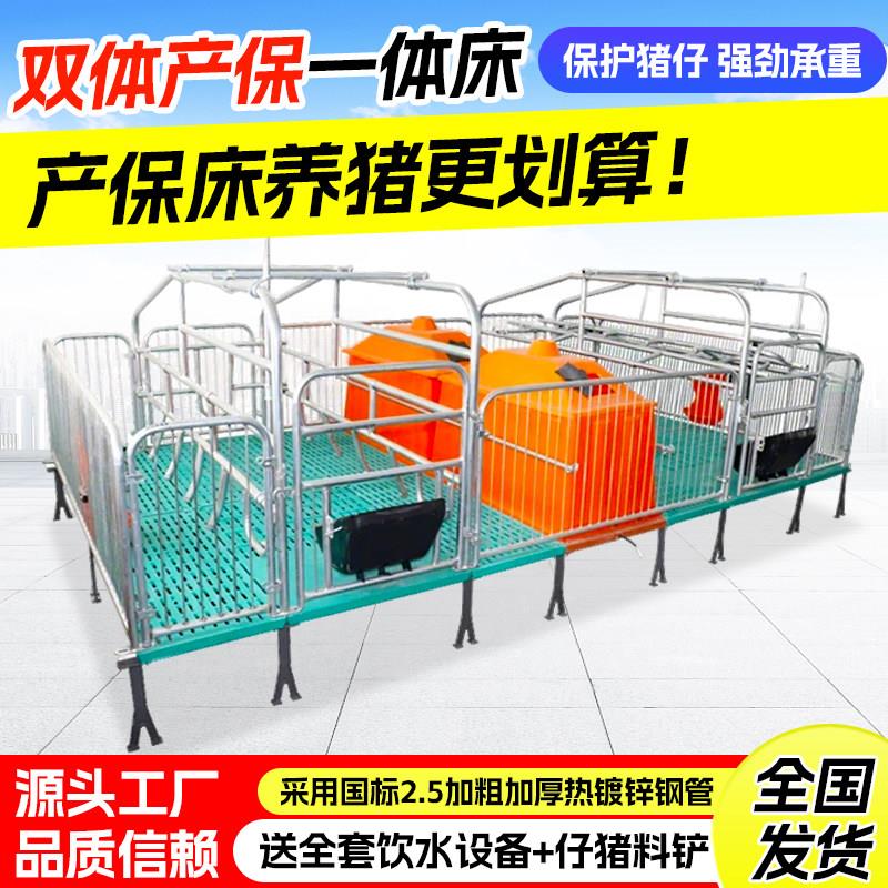 母猪产床国标热镀双体产床保育单体分娩床猪用全套加厚产保一体床