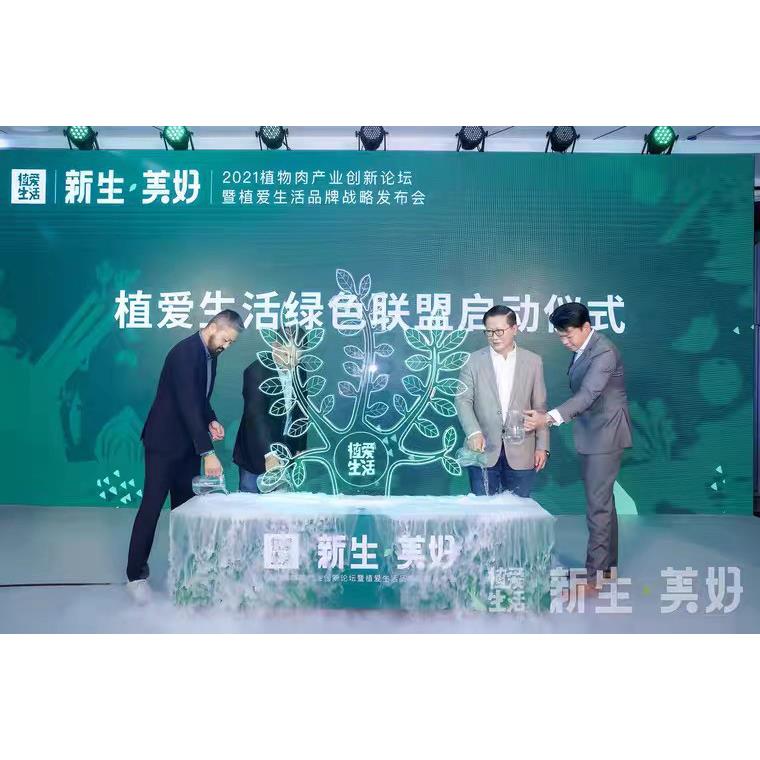 启动仪式干冰树干冰小树苗启动道具开业庆典学校常用干冰企业树租