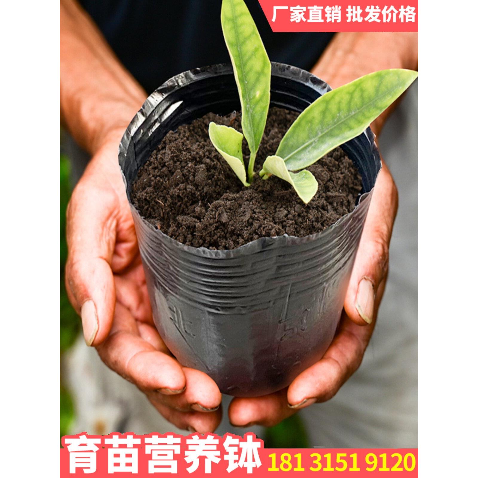 营养碗苗罐加厚营养杯苗杯种植袋黑色农业抗老化营养袋苗袋