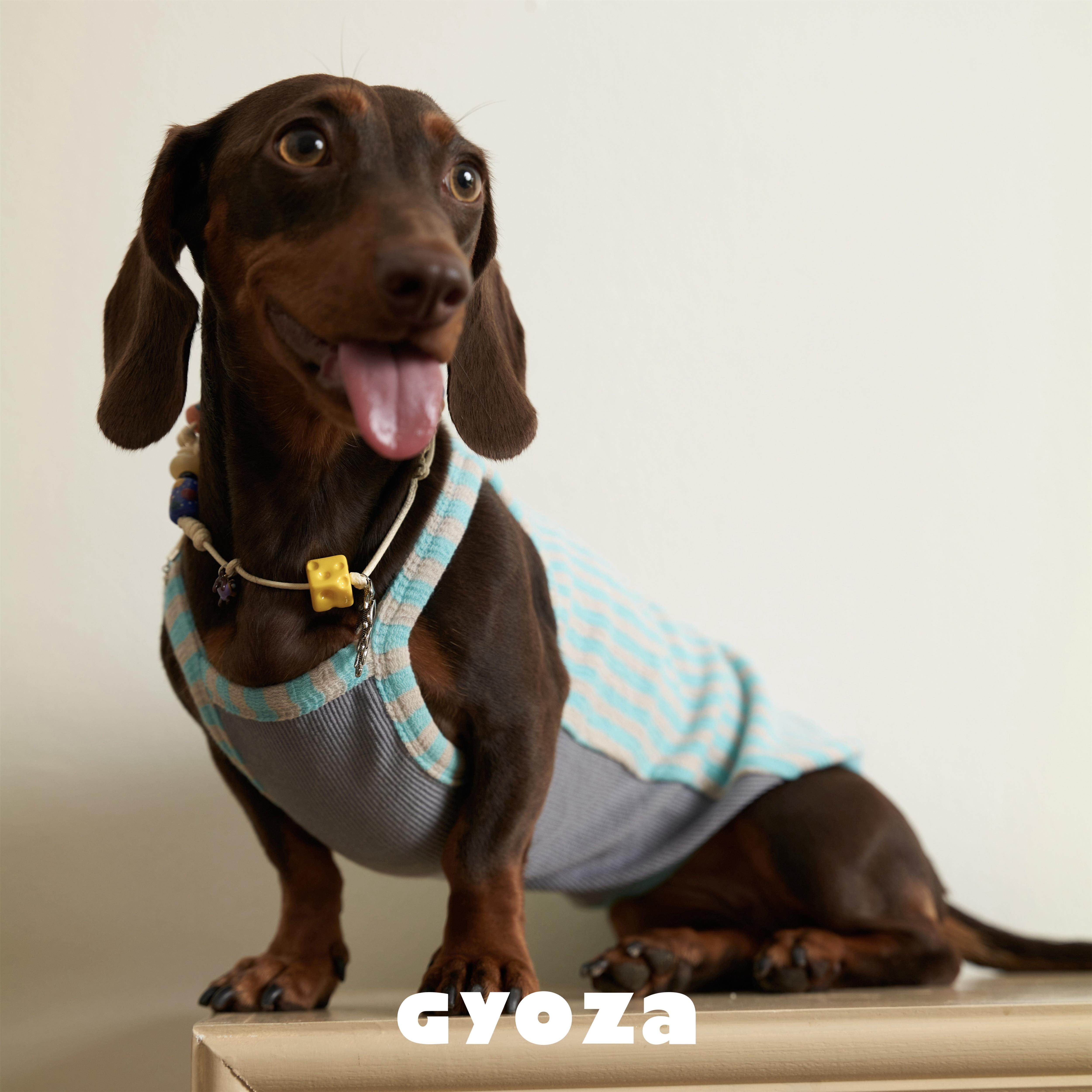 GYOZA夏季多巴胺小狗吊带条纹背心 可爱宠物衣服法斗短腿狗腊肠犬