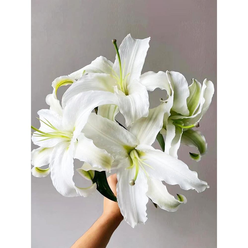 西伯利亚百合鲜花云南基地直发鲜切花黄天霸铁炮百合花插花花束