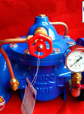 300X缓闭式止回阀 水n利40控制阀50消除65水锤80单向65逆止阀DN20