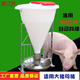 高桶80公斤猪自由采食料槽自动猪料槽大猪肥猪用料槽不锈钢猪食槽