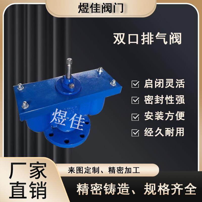 厂家供应QB2双口排气阀球墨铸铁法兰排气阀自动快速排气阀