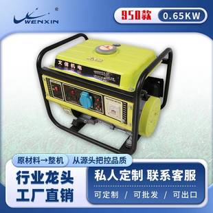 110V房车摆摊 外贸小型汽油发电机1KW家用户外手提220