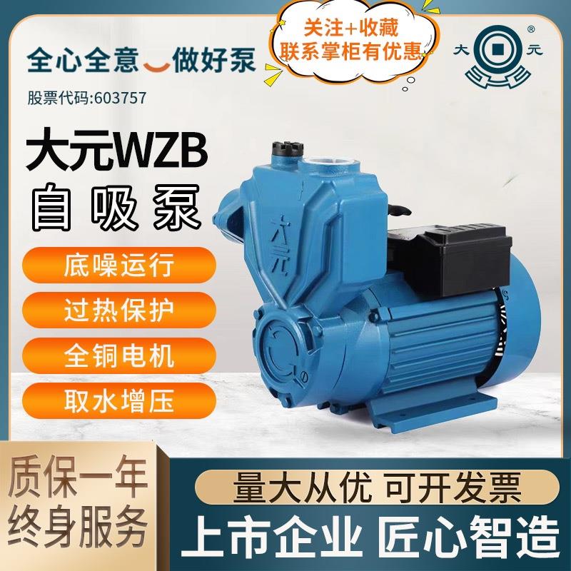大元WZB自吸泵家用管道自来水增压泵冷热水小型抽水泵220v抽水机